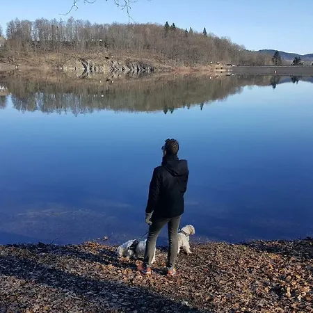 Abshoff 招待所 2*