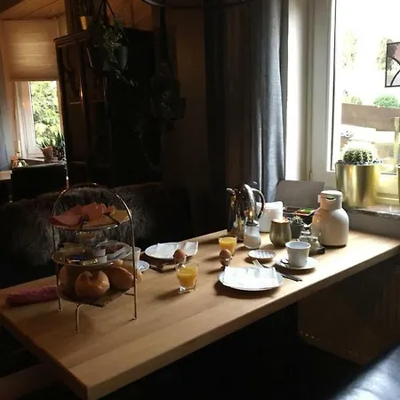 Abshoff Meschede